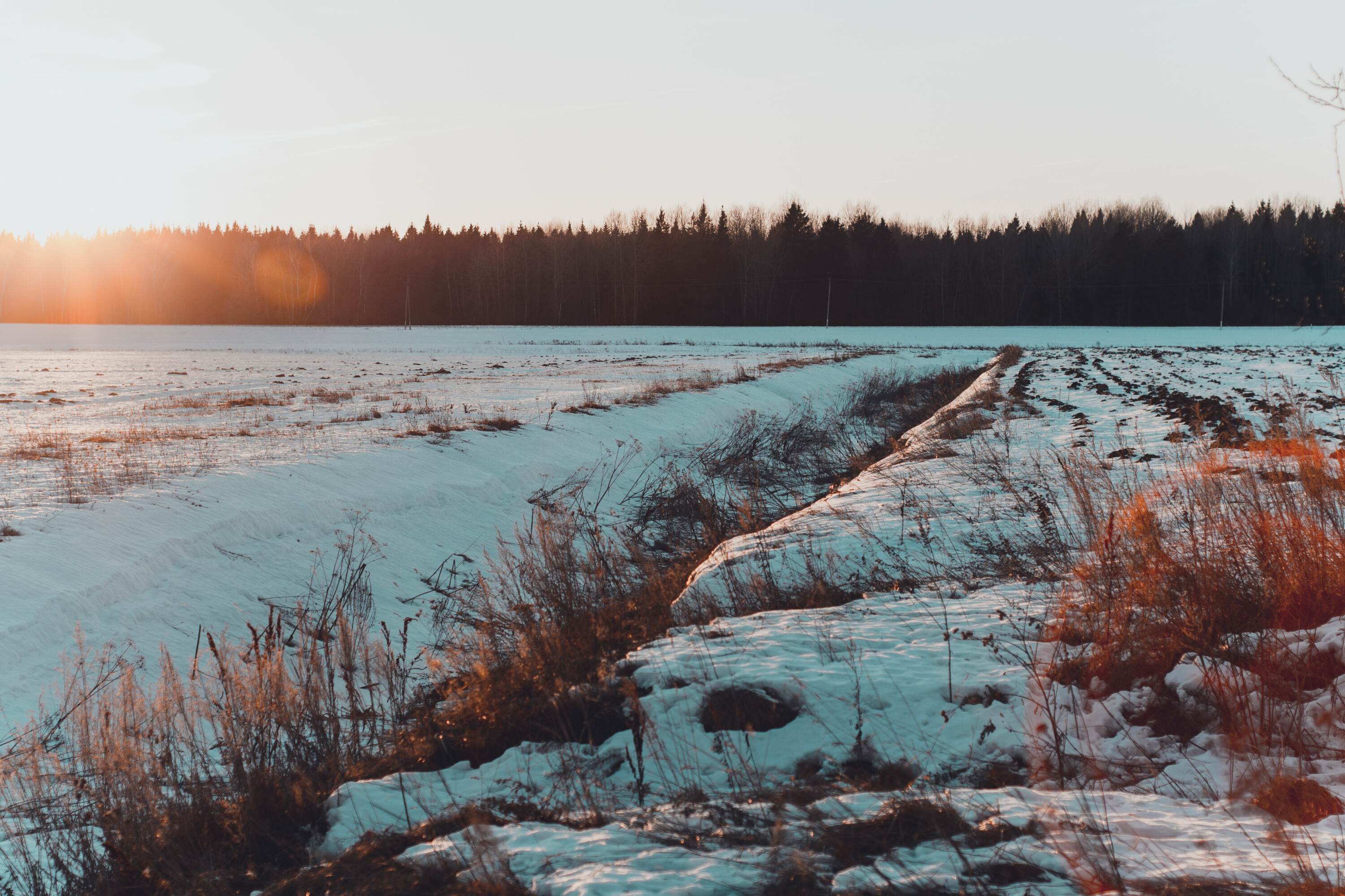 gs-agri_Feld_Winter_Schnee