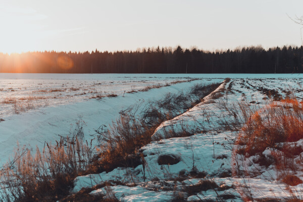 gs-agri_Feld_Winter_Schnee